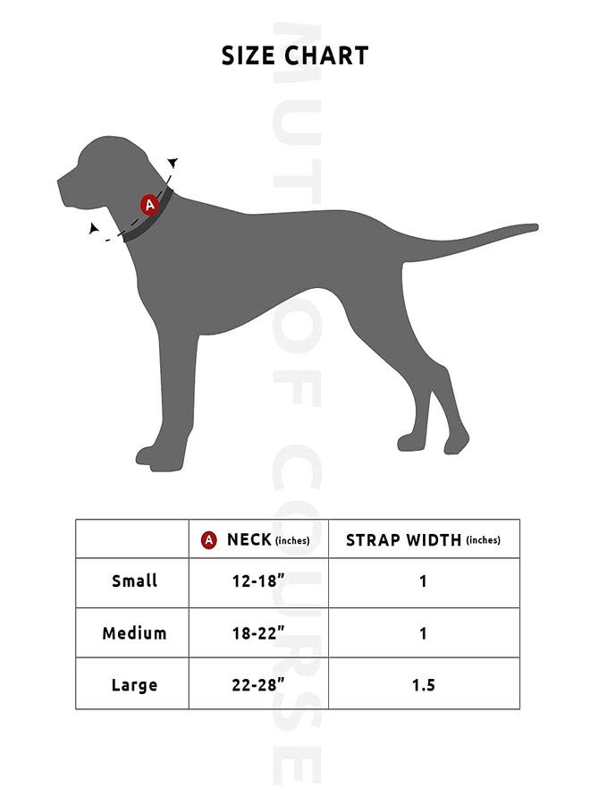 Mutt of Course طوق كلب Mutt of Course Pawesome Blossom | محيط الرقبة: 18-22 بوصة (متوسط) | مناسب للكلاب متوسطة الحجم مثل البيغل، والكلاب الهندية، إلخ. - Image 3